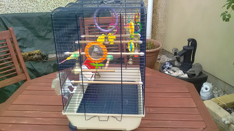 budgie cages gumtree